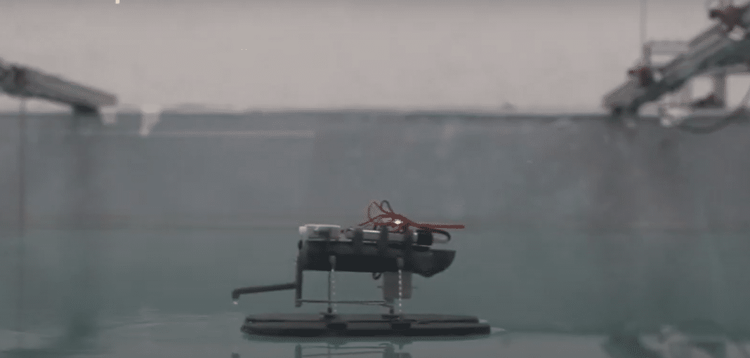 engineers-build-water-skimming-insect-robots engineers-build-water-skimming-insect-robots
