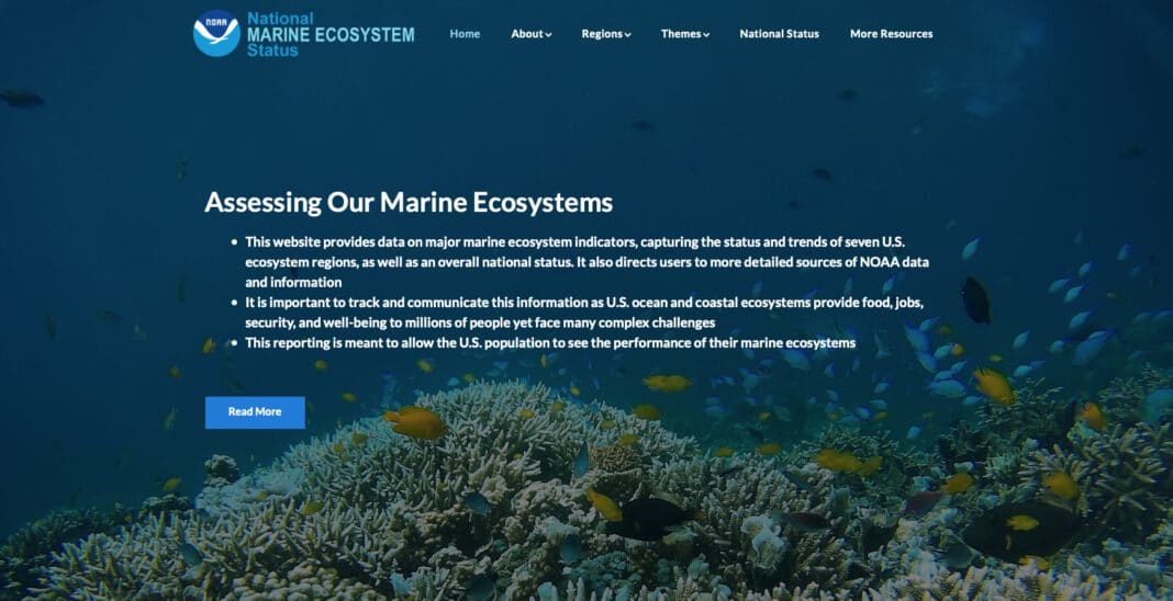 noaa-updates-its-marine-ecosystem-website noaa-updates-its-marine-ecosystem-website