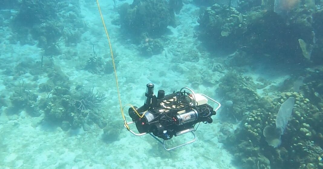 scientists-nab-grant-to-develop-underwater-robot-to-study-coral-reefs scientists-nab-grant-to-develop-underwater-robot-to-study-coral-reefs