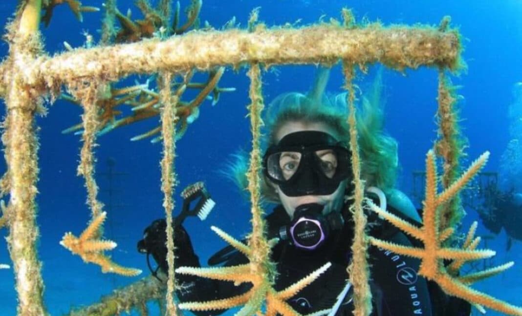 community-grant-program-created-by-the-padi-aware-foundation community-grant-program-created-by-the-padi-aware-foundation