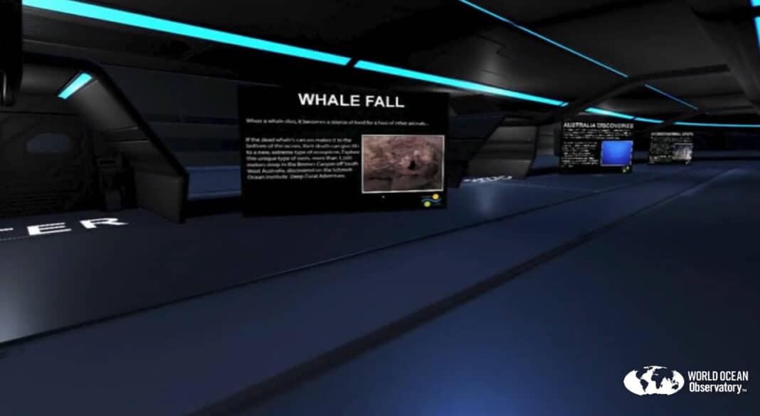 world-ocean-explorer-online-deep-sea-exhibit-opens-in-january-2022 world-ocean-explorer-online-deep-sea-exhibit-opens-in-january-2022