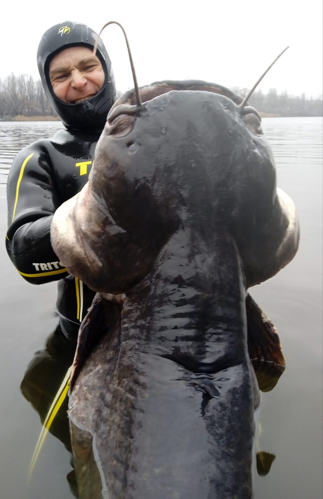 В-Днепре-рыбак-поймал-огромного-сома-людоеда-весом-50-кг-—-Апостроф