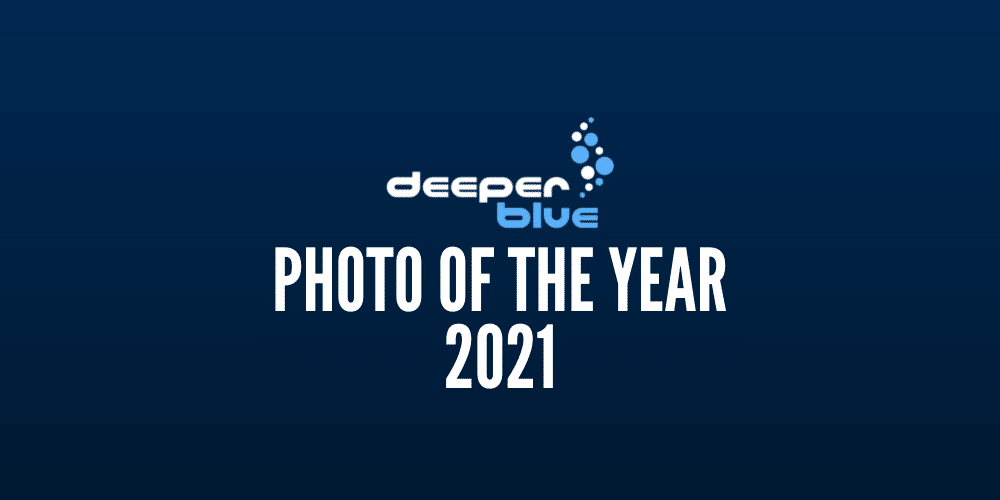 deeperblue-photo-of-the-year-2021 deeperblue-photo-of-the-year-2021