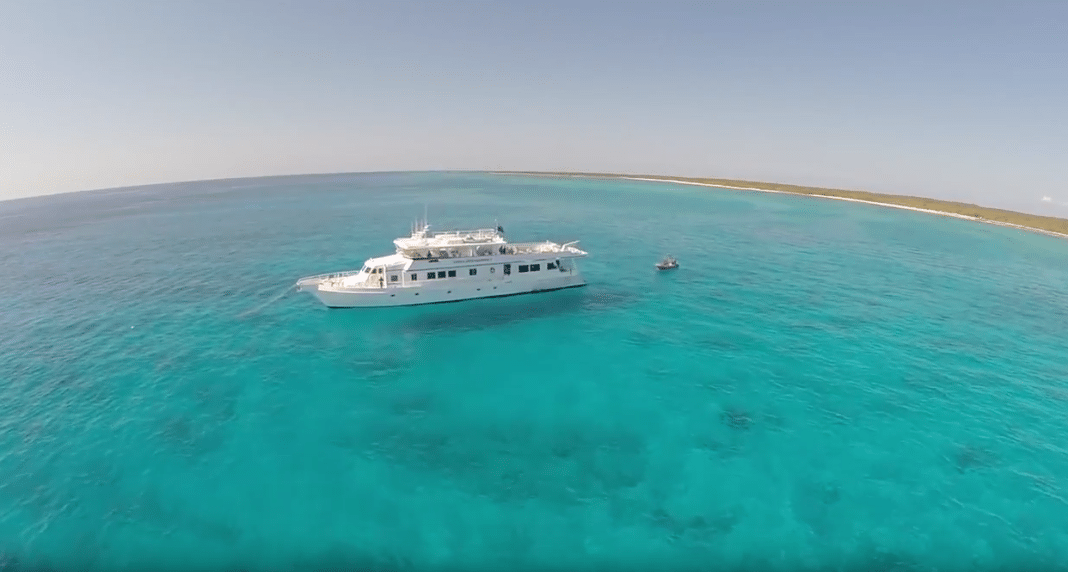 ssi-master-diver-challenge-hits-top-gear ssi-master-diver-challenge-hits-top-gear