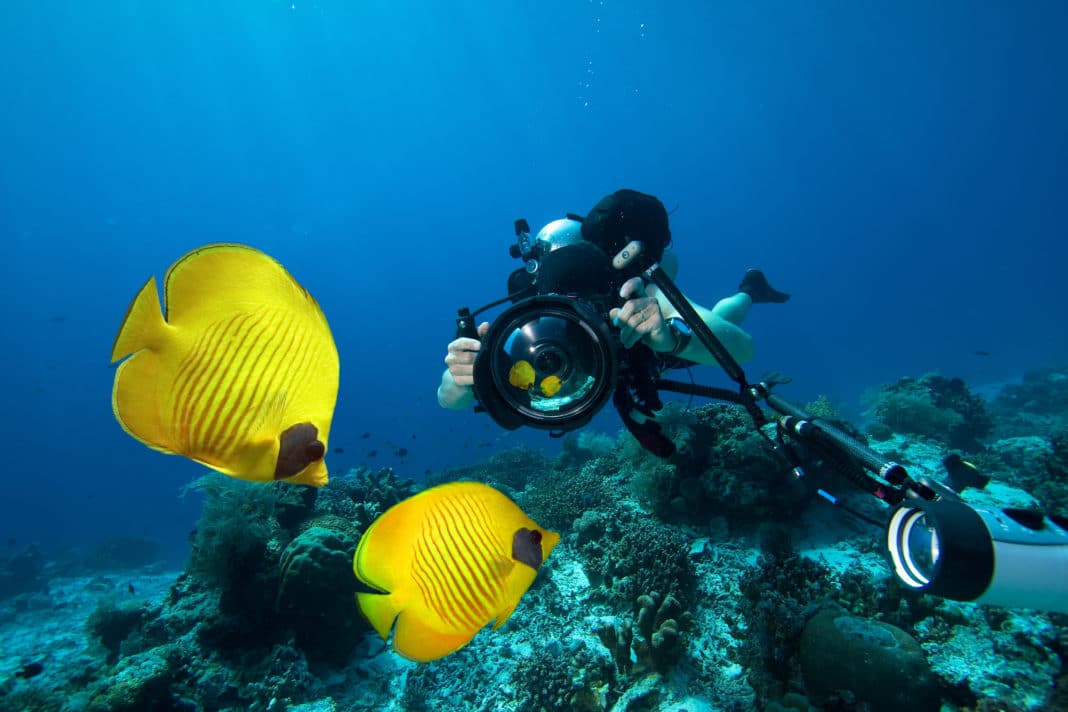 stunning-underwater-images-shortlisted-for-the-2022-sony-world-photography-awards
