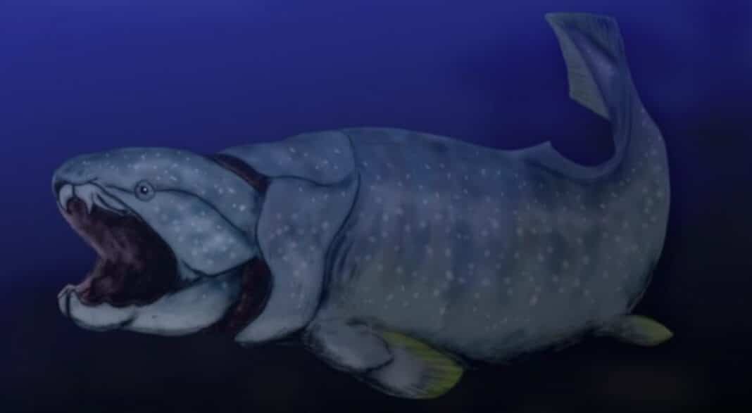 ancient-fish-—-and-humans,-too-—-evolved-to-be-strong-and-snappy,-study-finds ancient-fish-—-and-humans,-too-—-evolved-to-be-strong-and-snappy,-study-finds