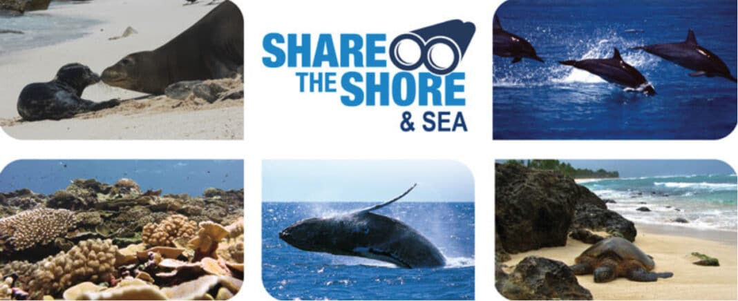 submissions-to-noaa’s-2022-share-the-shore-&-sea-art-contest-now-open submissions-to-noaa’s-2022-share-the-shore-&-sea-art-contest-now-open