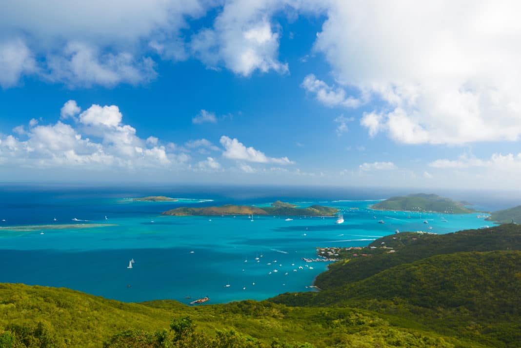 project-to-rewild-40-island-ecosystems-by-2030-launched project-to-rewild-40-island-ecosystems-by-2030-launched