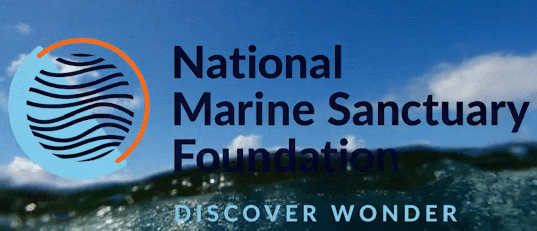 2022-ocean-awards-honorees-announced 2022-ocean-awards-honorees-announced