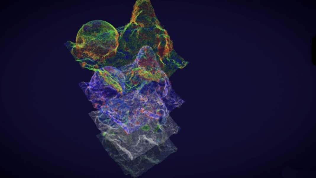 stunning-new-3d-models-are-helping-researchers-study-coral-reefs stunning-new-3d-models-are-helping-researchers-study-coral-reefs