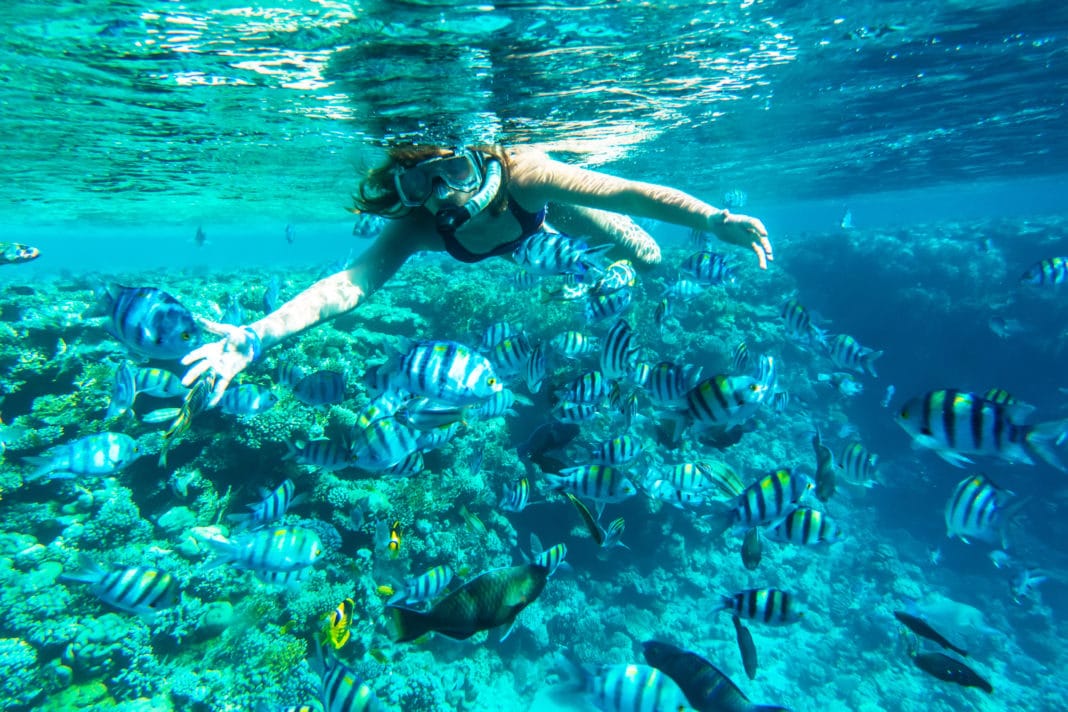 reef-smart-education-initiative-announced reef-smart-education-initiative-announced
