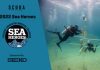 PADI Seeks 2022 Sea Hero Nominations padi-seeks-2022-sea-hero-nominations
