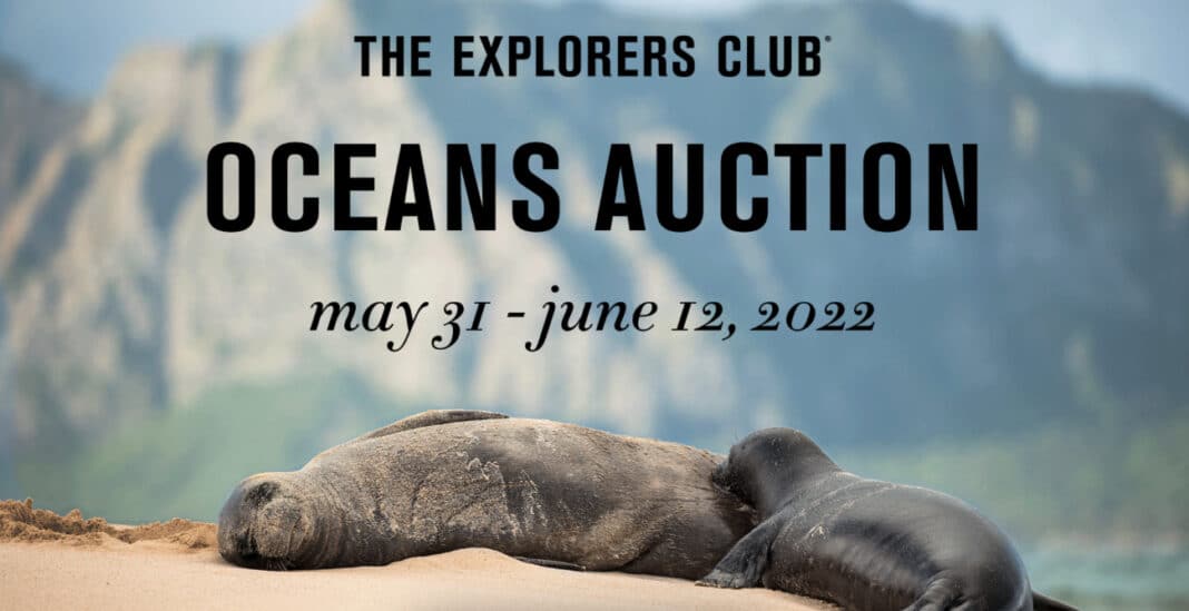 world-oceans-week-virtual-auction-is-now-live world-oceans-week-virtual-auction-is-now-live