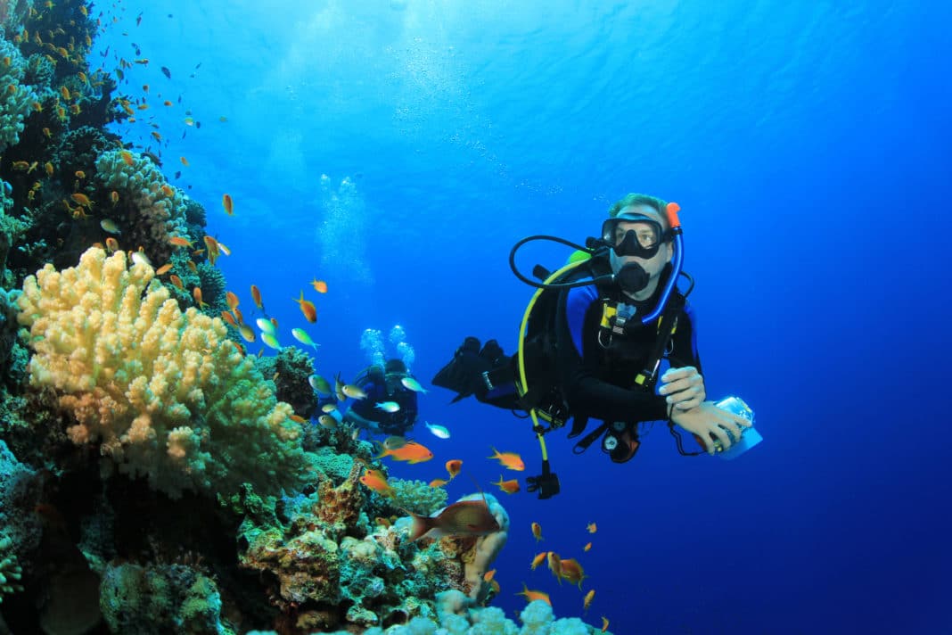 photo-and-video-southern-red-sea-liveaboard-trip-announced photo-and-video-southern-red-sea-liveaboard-trip-announced