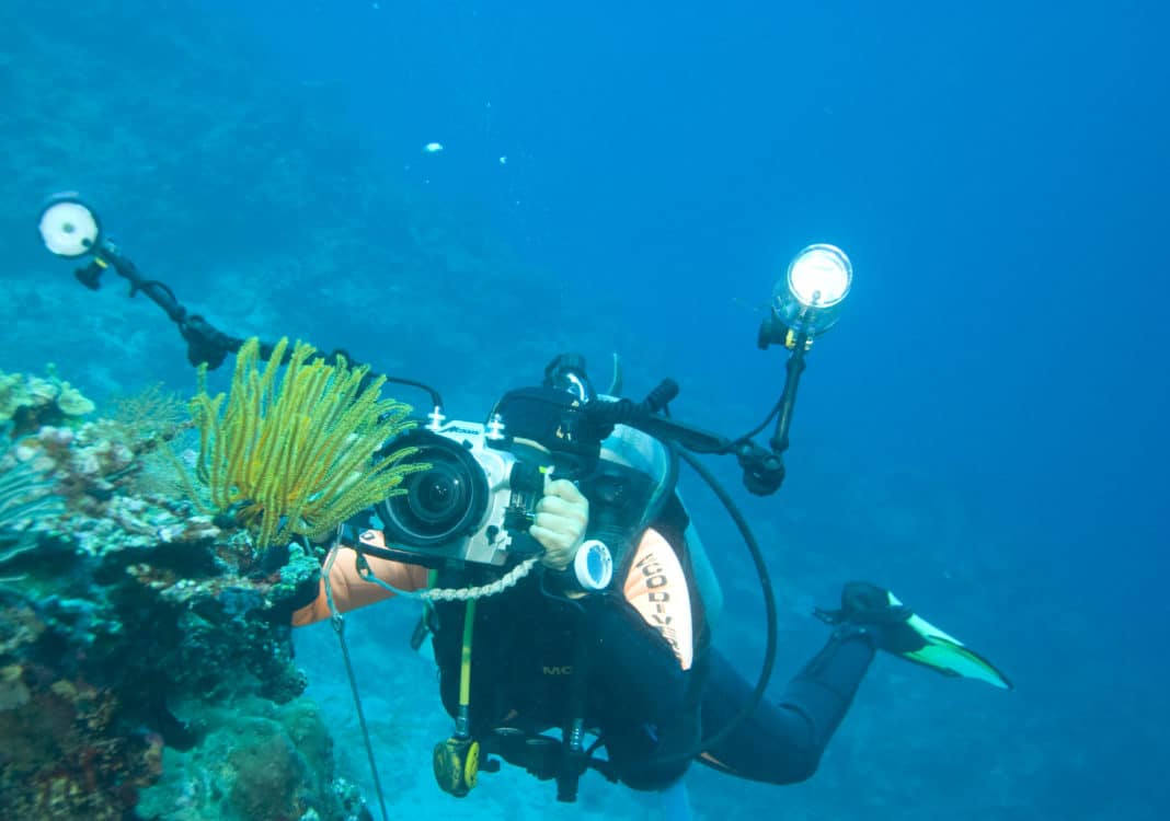 reef-conservation-challenge-photo-contest reef-conservation-challenge-photo-contest