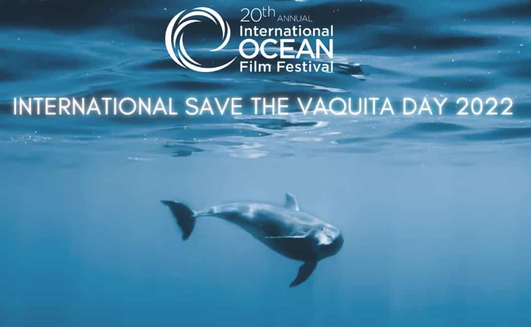 ‘the-last-vaquita’-now-streaming ‘the-last-vaquita’-now-streaming