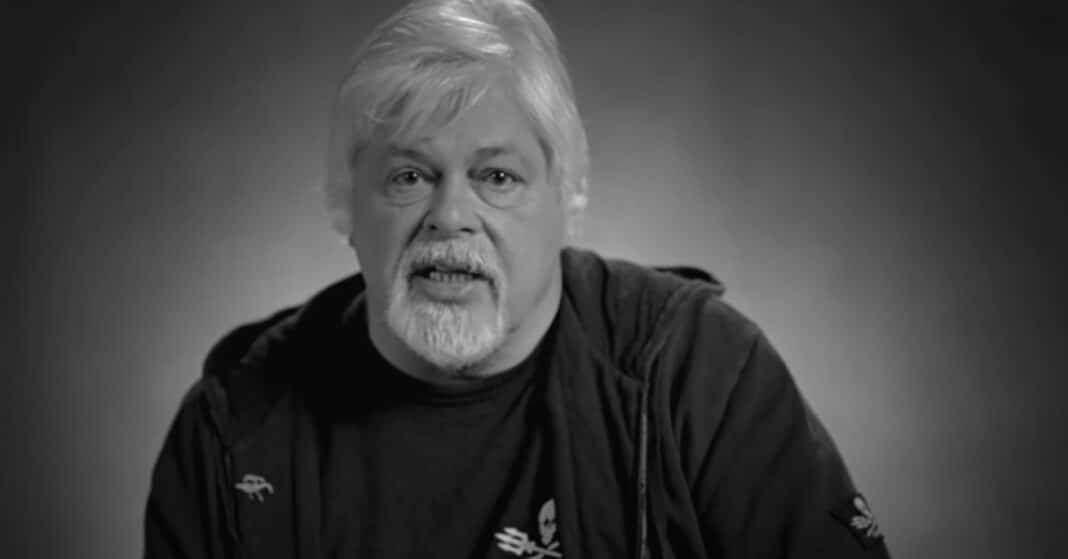 sea-shepherd-vows-to-continue-conservation-work,-despite-founder-paul-watson’s-resignation sea-shepherd-vows-to-continue-conservation-work,-despite-founder-paul-watson’s-resignation