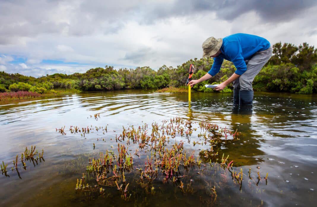 the-use-of-‘blue-carbon’-habitats-may-not-be-as-effective-as-previously-thought the-use-of-‘blue-carbon’-habitats-may-not-be-as-effective-as-previously-thought