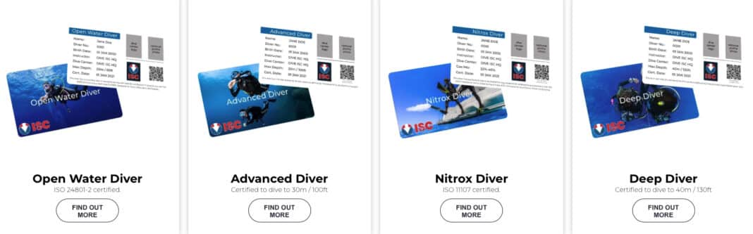 a-new-training-agency-launches:-diveisc a-new-training-agency-launches:-diveisc