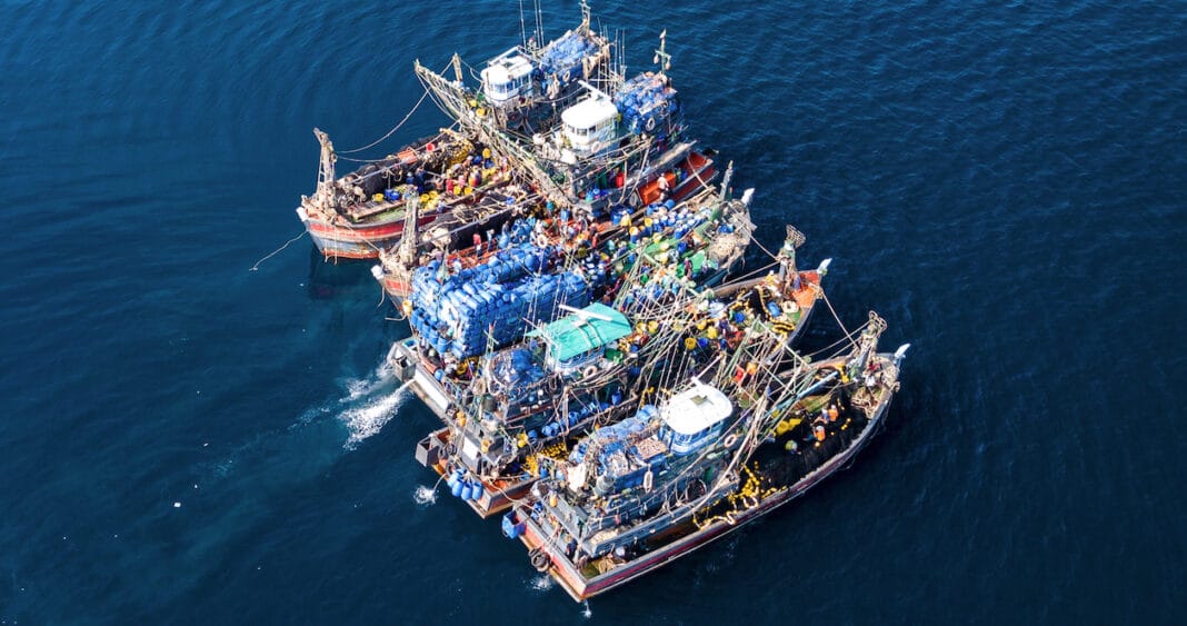 winners-of-overfishing-solutions-competition-announced winners-of-overfishing-solutions-competition-announced
