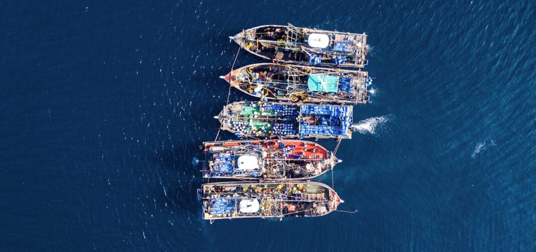 petition-demands-the-canadian-government-stops-overfishing petition-demands-the-canadian-government-stops-overfishing