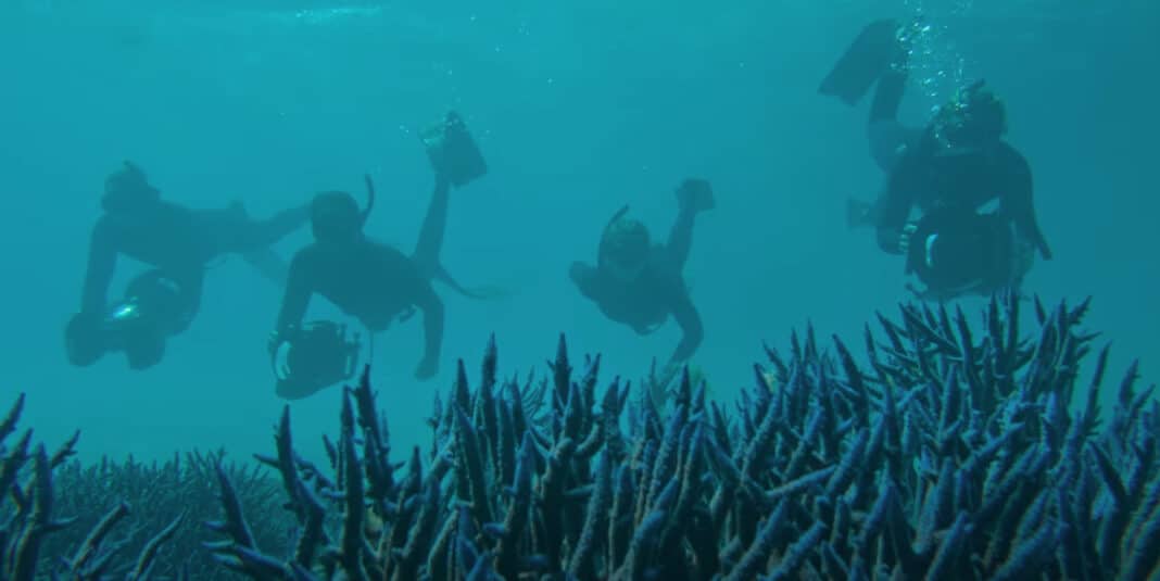 ‘shipwreck-hunters-australia’-now-streaming-on-disney+ ‘shipwreck-hunters-australia’-now-streaming-on-disney+
