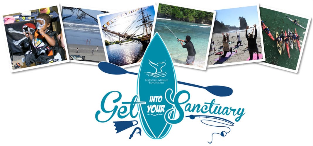 national-marine-sanctuaries-act-turns-50-this-week national-marine-sanctuaries-act-turns-50-this-week