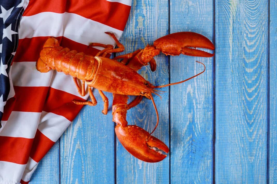 maine-lawmakers-slam-suspension-of-lobster-fishery-certification maine-lawmakers-slam-suspension-of-lobster-fishery-certification