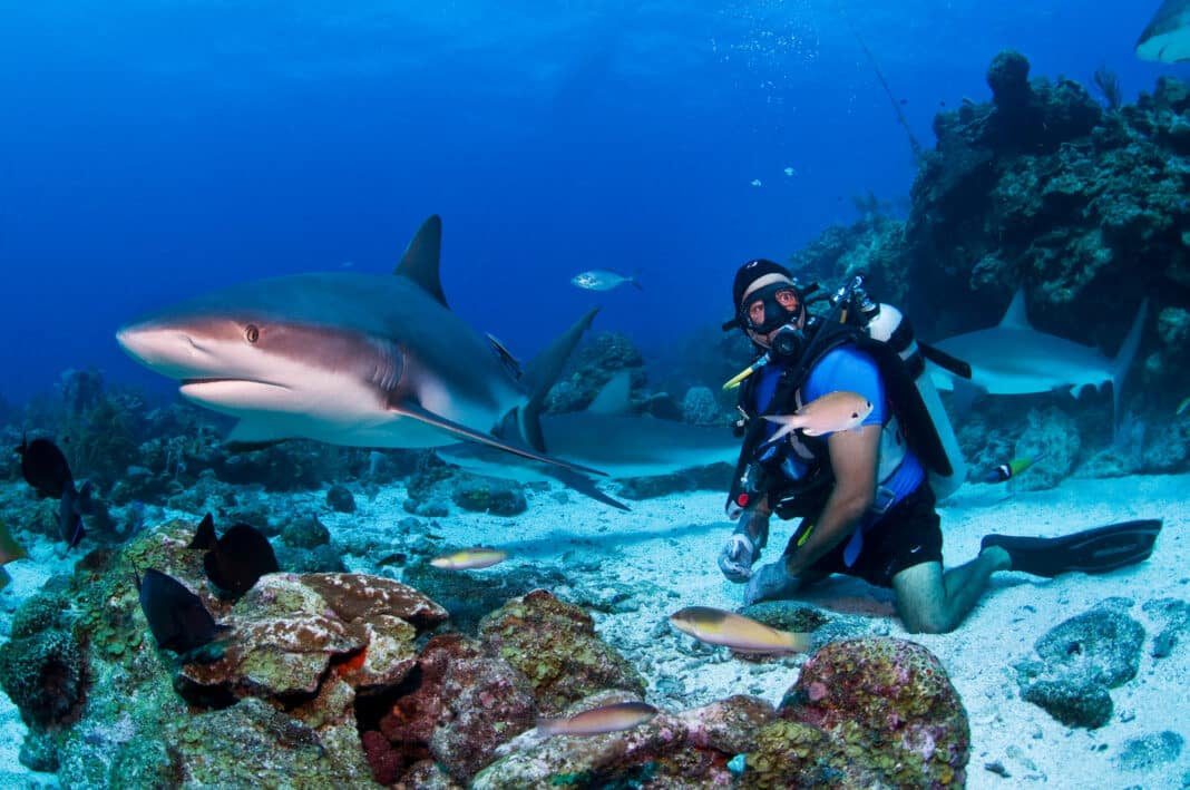 roatan-scuba-diving:-4-sites-not-to-miss-out-on