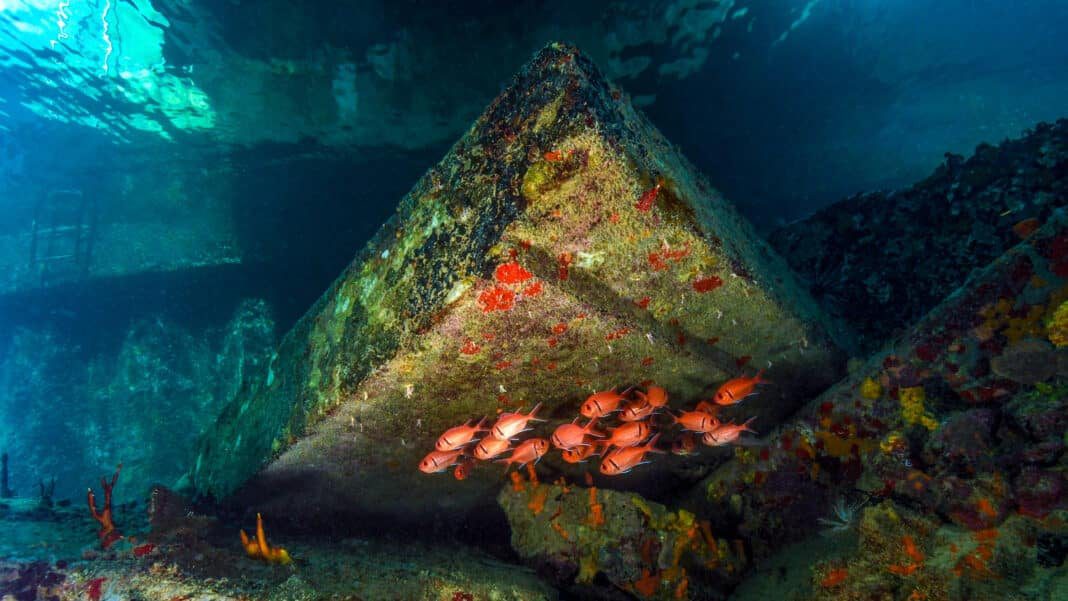 st.-croix-scuba-diving-4-dive-sites-not-to-miss-out-on st.-croix-scuba-diving-4-dive-sites-not-to-miss-out-on