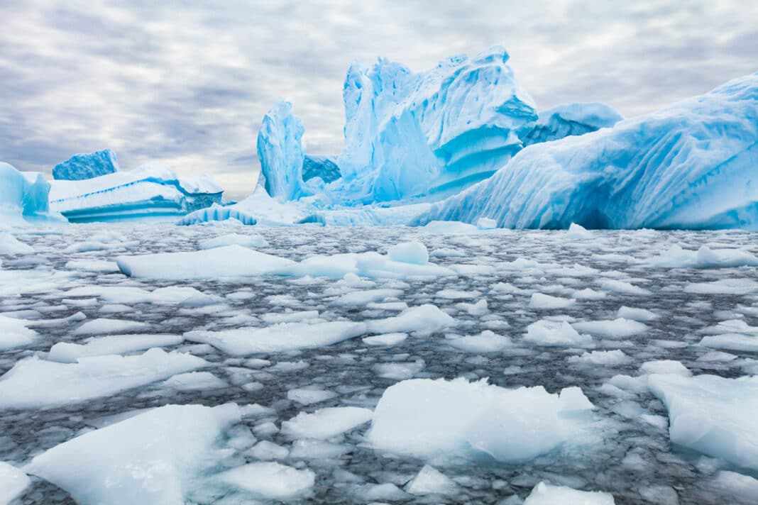 arctic-cyclone-leads-to-loss-of-sea-ice arctic-cyclone-leads-to-loss-of-sea-ice