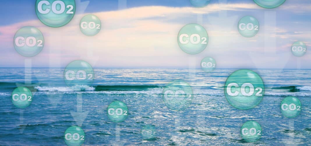 researchers-want-to-fertilize-the-ocean-to-store-carbon-dioxide researchers-want-to-fertilize-the-ocean-to-store-carbon-dioxide