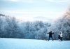 Северный олень — символ Нового года — ЖЖ — LiveJournal Северный-олень-—-символ-Нового-года-—-ЖЖ-—-livejournal