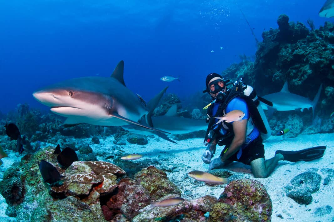 barefoot-divers-launches-valet-diving-service barefoot-divers-launches-valet-diving-service