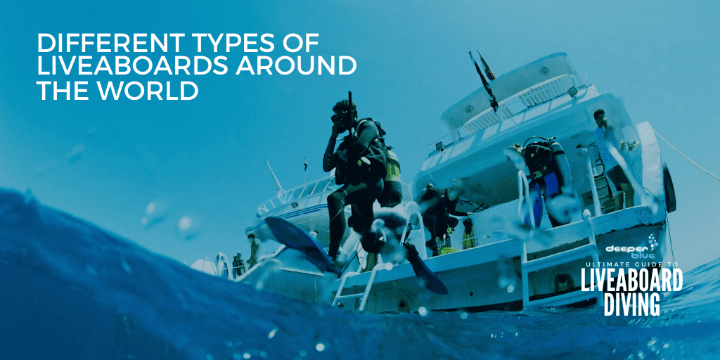 4-different-types-of-liveaboards-around-the-world 4-different-types-of-liveaboards-around-the-world