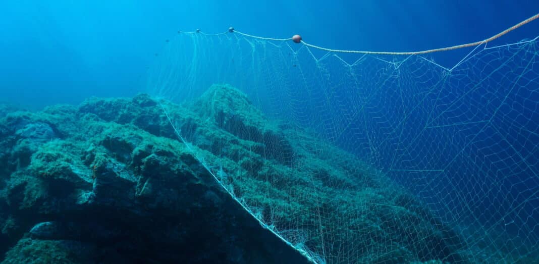 us-passes-federal-drift-gillnet-legislation us-passes-federal-drift-gillnet-legislation