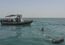 Новый стандарт обучения PADI 2026: что изменилось для новичков