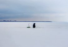 Интерактивная карта сезонов подводной охоты и дайвинга РФ 2025-2026: где/когда/на что Фото: Edgar Cavazos на Unsplash (https://unsplash.com/photos/a-person-standing-in-the-middle-of-a-sn