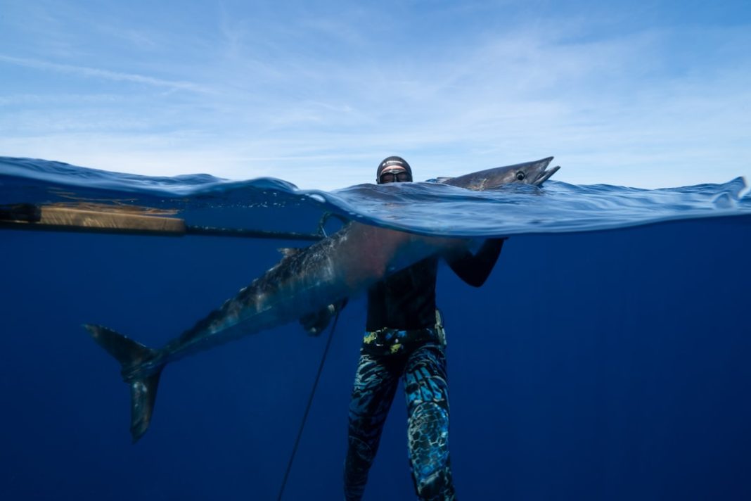 Фото: Michael Worden на Unsplash (https://unsplash.com/photos/a-man-holding-a-large-shark-in-the-oce