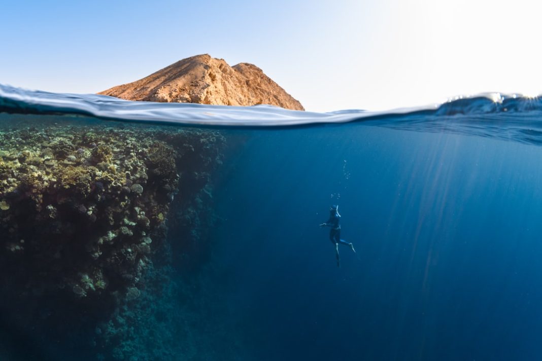 Фото: NEOM на Unsplash (https://unsplash.com/photos/a-person-swimming-in-the-ocean-with-a-mountain-i