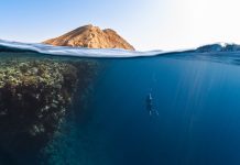 Молчанов vs AIDA vs PADI Freediver: какую систему выбрать в 2026 Фото: NEOM на Unsplash (https://unsplash.com/photos/a-person-swimming-in-the-ocean-with-a-mountain-i