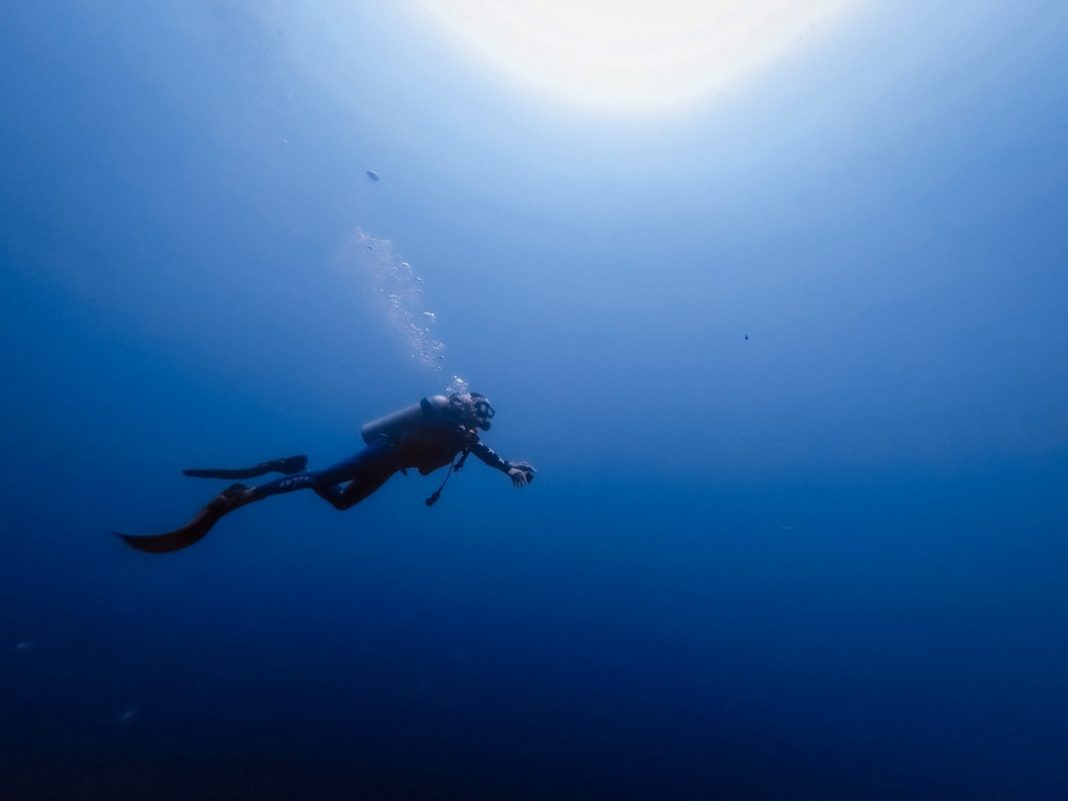 Фото: Bobbi Wu на Unsplash (https://unsplash.com/photos/person-swimming-under-water-photography-3_h9