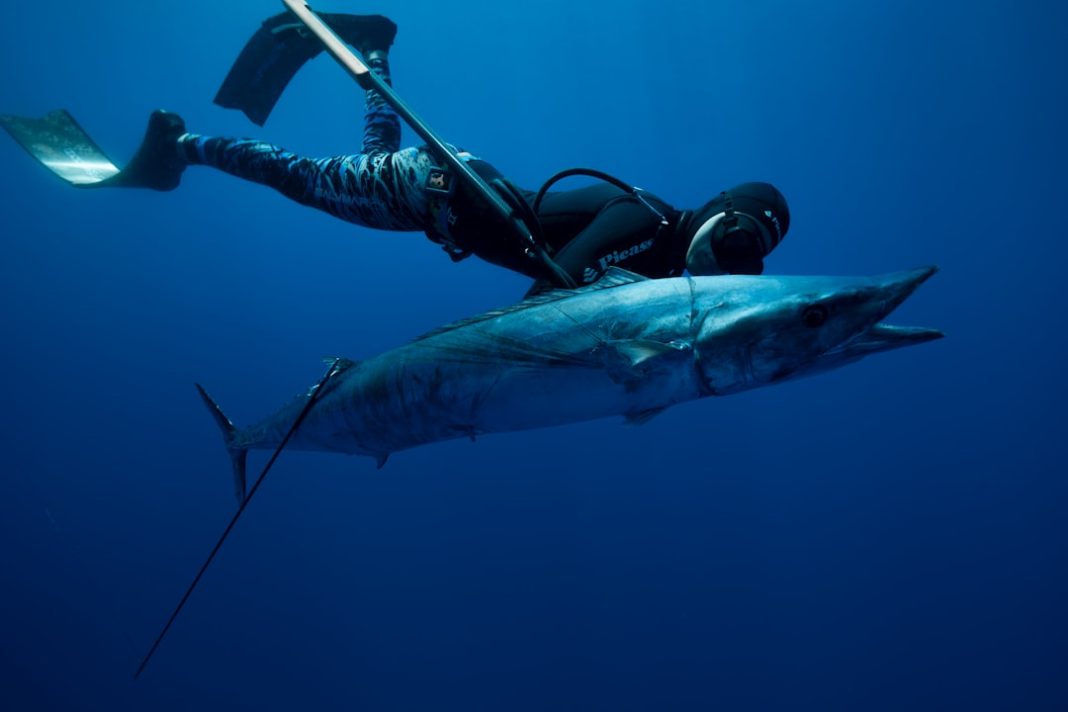 Фото: Michael Worden на Unsplash (https://unsplash.com/photos/a-man-in-a-wet-suit-is-diving-with-a-l