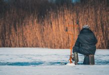 Подводная охота на налима в invierno: где искать и как ловить