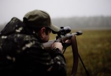 Подводная охота на лосося в Камчатке: сезон и снаряжение